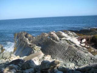 泰勒黑德省级公园