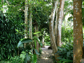 兴隆热带植物园