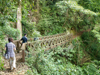 八仙山森林游乐区