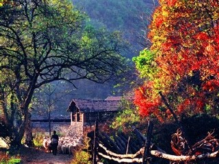 岗山国家森林公园