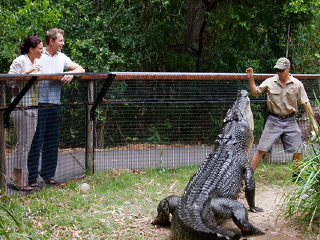 哈特利鳄鱼探险公园