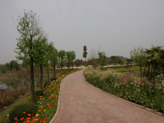 重庆花样龙水湖