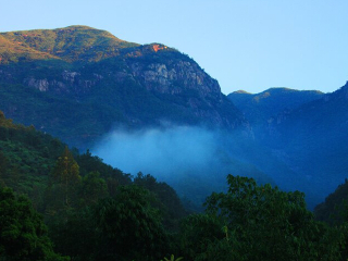 莆田九龙谷森林公园