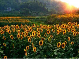 湖州安吉尚书休闲文化村