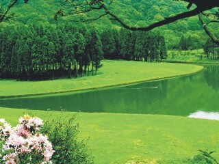 大容山国家森林公园