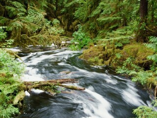 内库翁省级公园