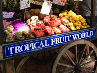 黄金海岸热带水果世界