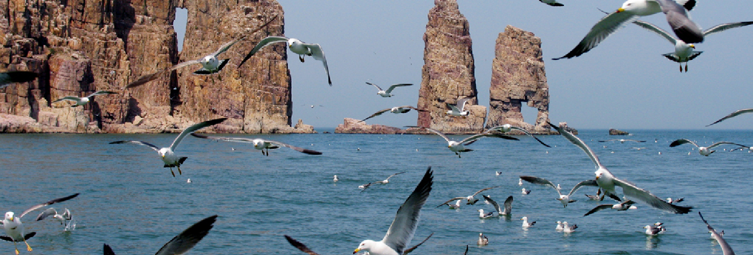 长岛海上游旅游攻略