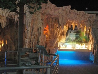 中国地质大学逸夫博物馆