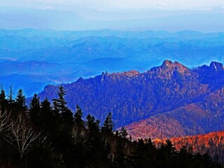 岗山国家森林公园