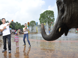 杭州野生动物世界