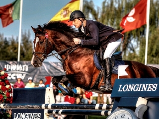 朝阳公园青少年马术培训中心