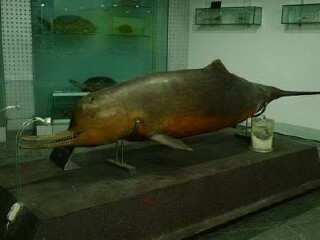 水生生物博物馆