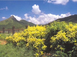 西贡郊野公园