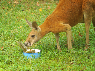 杭州野生动物世界