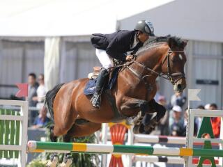 朝阳公园青少年马术培训中心