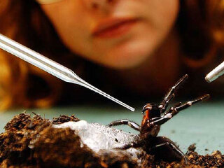 澳大利亚悉尼爬行动物公园