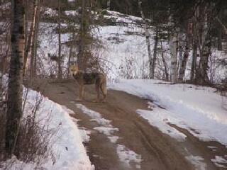 白贝壳省级公园