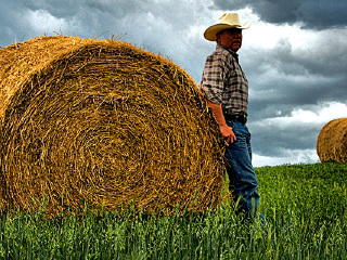 “美国狩猎”德克萨斯私人牧场