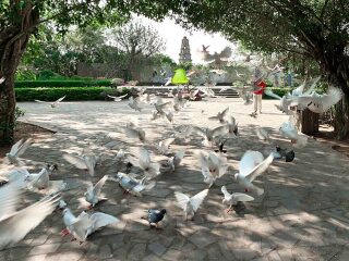 海南热带飞禽世界