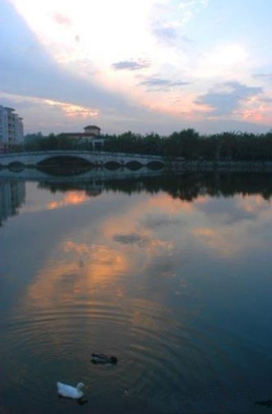 棠湖公園 成都南湖度假風景區 西南民族大學航空港校區 成都華陽鎮