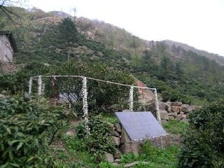 湖州安吉白茶谷九龙峡