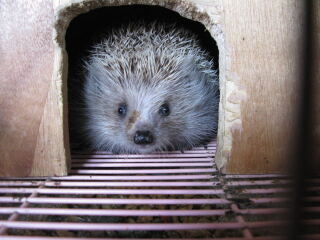 花果山神秘谷风景区