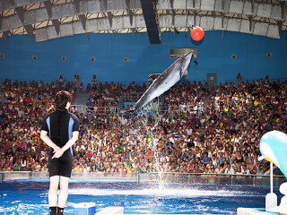 武汉海昌极地海洋公园