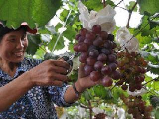 上海马陆主题公园