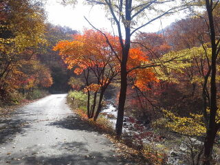 岗山国家森林公园