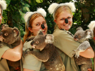 凯恩斯热带动物园