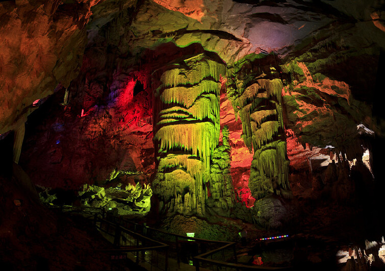 洞内还发现了动植物奇观,为美丽的燕翔洞增添了一道道奇特的风景