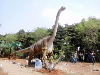 花果山神秘谷风景区