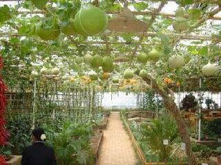 寻甸回族彝族自治县