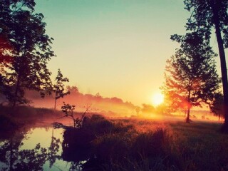 蒙哥马利出生地