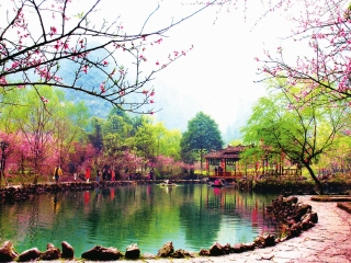 重庆酉阳桃花源景区