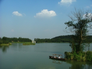  南宁-巴马水波天窗-盘阳河-长寿村-长寿岛2日游>养生大讲堂