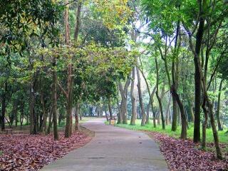 良凤江国家森林公园