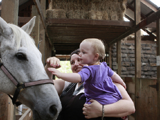 科林伍德儿童农场