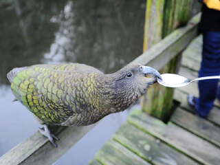 柳岸野生动物保护区