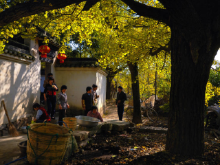 安吉塘浦阿乐农庄