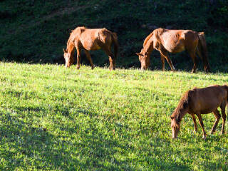 昭通大山包风景区