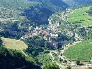 温迪葡萄酒公司