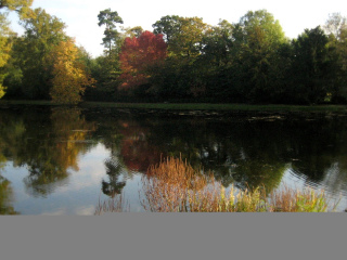 佩因斯希尔庄园