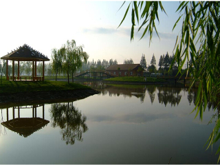 崇明明珠湖公园