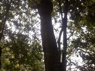 昆明黑龙潭风景区