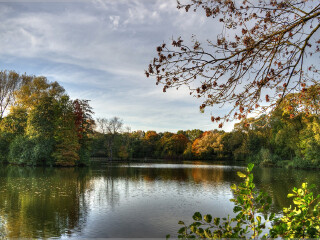 维施琳根森林公园