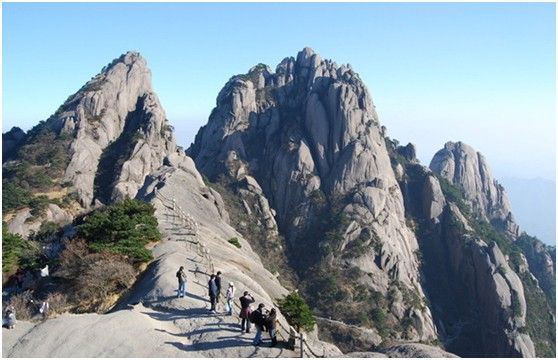 跟團的原因是跟團會比自由行實惠一些,旅行團一般和酒店,門票長期合作