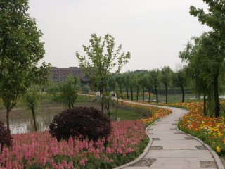 重庆花样龙水湖