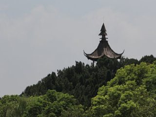 上海崇明前卫村